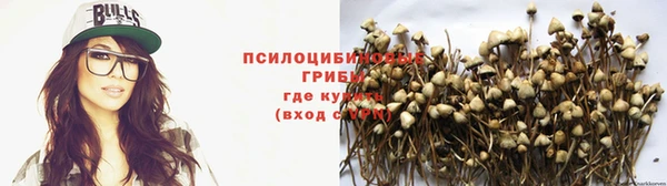 спайс Киренск