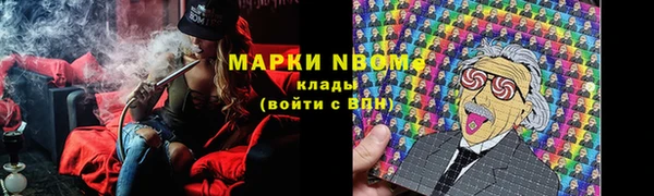мдпв Алексин